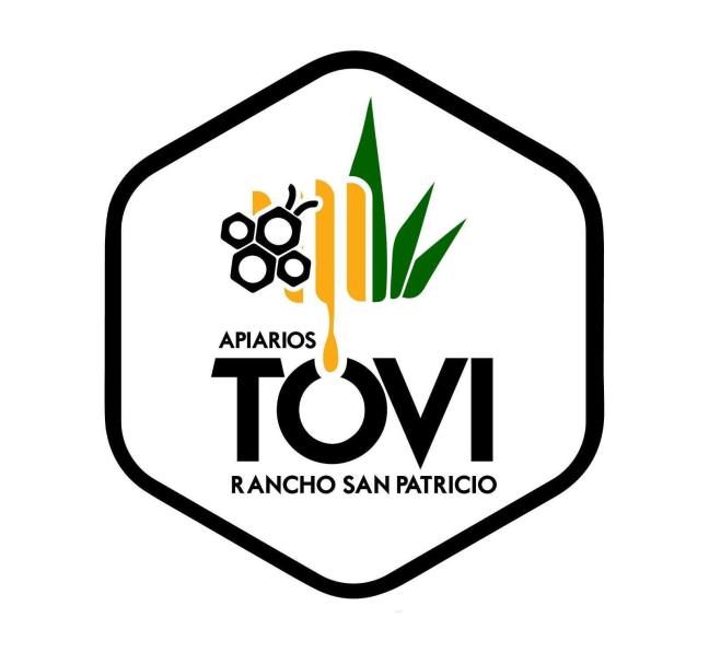 Minimalist bee and agave logo for Apiarios TOVI Rancho San Patricio, flat gold on dark green